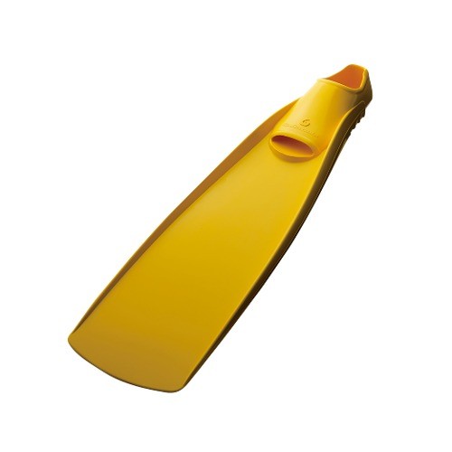 걸 바라쿠다