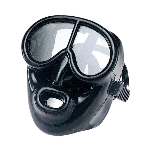 IST 페가수스 - 실리콘